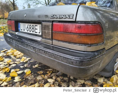 PeterSinclair - @PeterSinclair: