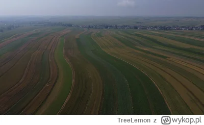 TreeLemon - @Poldek0000: Widok od strony pola