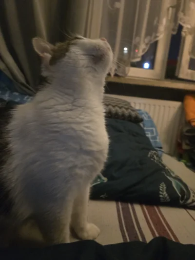 Solsith - @wcaleniepchamsiewmultikonto: śpi nam na głowach, medzi o saszete przed 5. ...