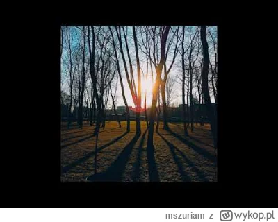 mszuriam - Najpiękniejsza Muzyka Świata na lipiec 2024:
Sunbyonic - I lost
P.S. Jest ...