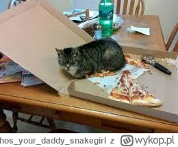 whosyourdaddy_snakegirl - @Matell

Dlaczego? Pizzę elegancko podgrzewa ( ͡º ͜ʖ͡º)