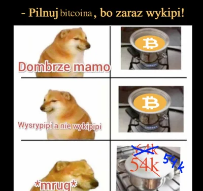 assninja - Drugi obieg memików
#bitcoin