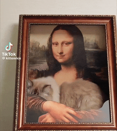 kicek3d - #sztuka #koty #gif