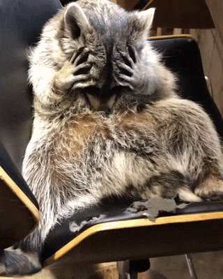 wfyokyga - Medytacja