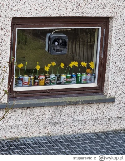 stuparevic - Ojciec zajął się ogrodnictwem przed świętami. Dobrze mu idzie? #kiciochp...