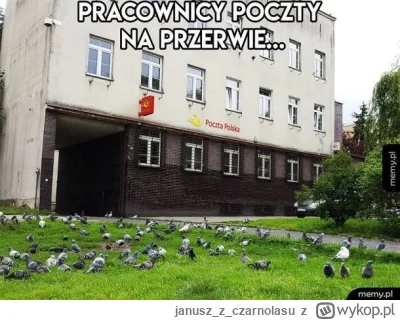 januszzczarnolasu - Teraz pójdą w gołębie: