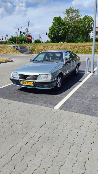 reakwon - @wujek_mikazjusz  zoba jakiego kiedyś ustrzeliłem.