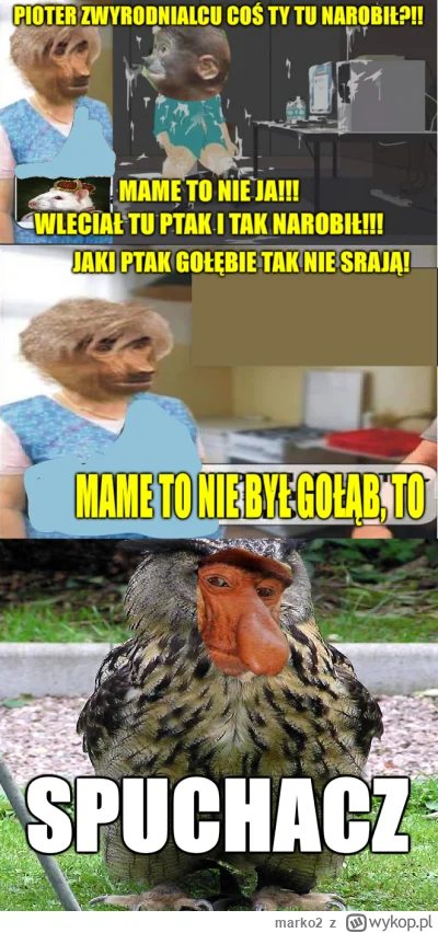 marko2 - #konkursnanajbardziejgownianymemznosaczem