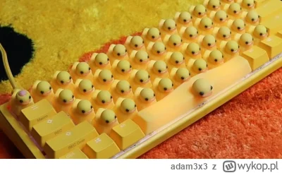 adam3x3 - @LeoXIV: jedną zwykłą i jedną dodatkową