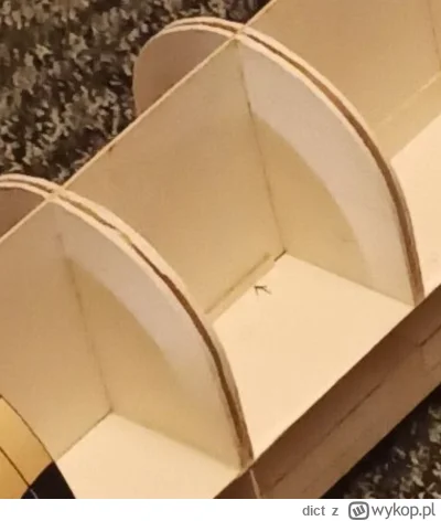 dict - @ManyCalavera: a skąd te podwójne wręgi? Tak jest w instrukcji, czy to Twoja t...