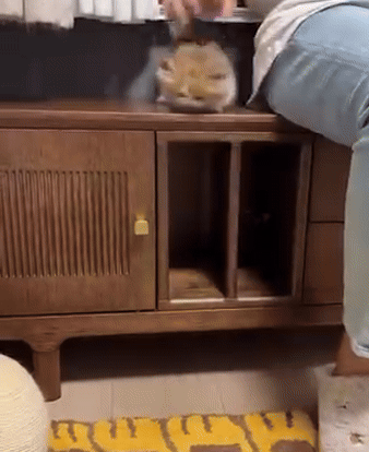 MacronT1000 - Ktoś nagle krzyknął: "Tak to każdy by chciał!"