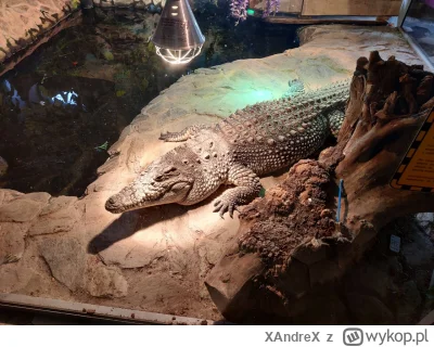 XAndreX - @hotshops_pl:  może to nie mem, ale dacie wiarę, że gdzie w północno-zachod...