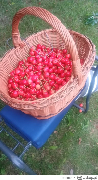 Dorciqch - @jalop no masz, masz xD