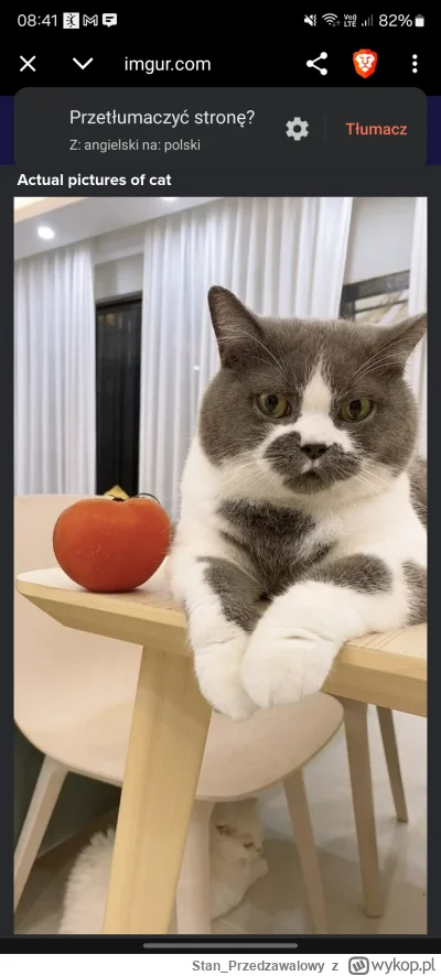 StanPrzedzawalowy - @dywaniku_dyrektora minuta żeby znaleźć, masz jak on wygląda bez ...