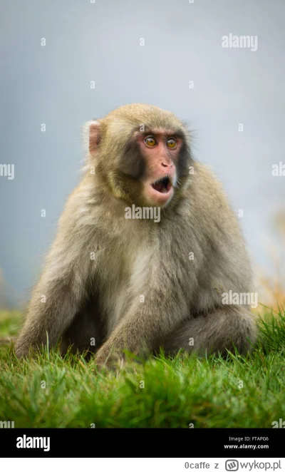 0caffe - Fodden kiedy znowu nie wpadło do bramki 

#mecz