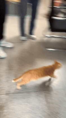 jestemtakizmeczony - @jestemtakizmeczony: