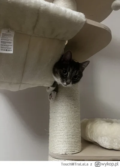 TouchMTraLaLa - @Linnior88 akuku ʕ•ᴥ•ʔ