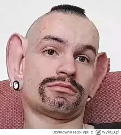 UzytkownikTegoTypu - bu ha ha bebc
#bonzo