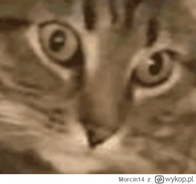 Morcin14 - > ładniej i schludniej

@Infex: 720p transmisja