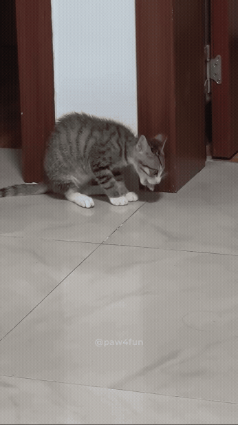 jestemtakizmeczony - @jestemtakizmeczony: