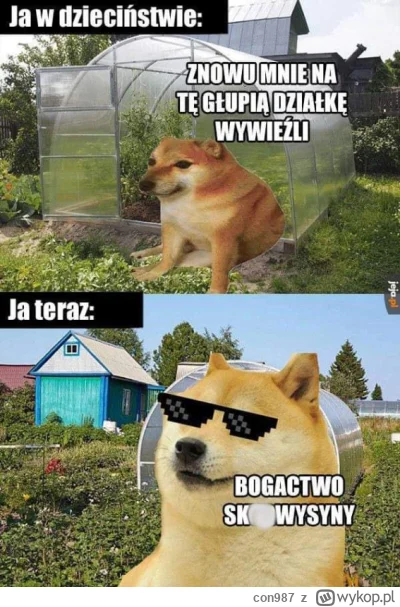 con987 - @Phallusimpudicus: do tego trzeba dorosnąć