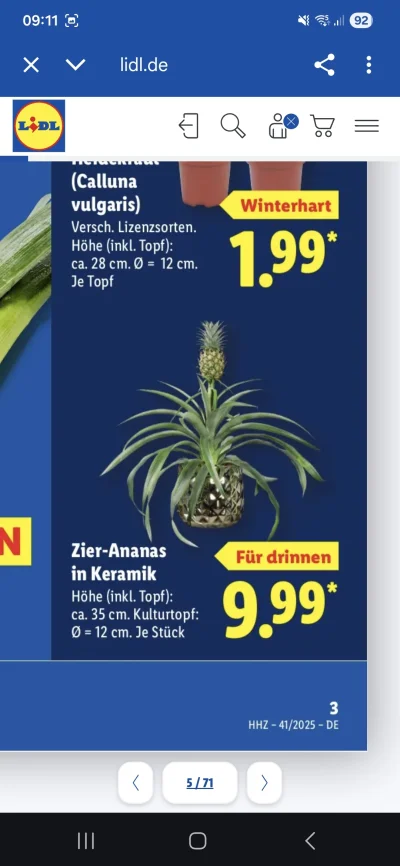 Lujdziarski - Kurde, nie wiem czy jest sens kupować ananasa w doniczce jako roślinę x...