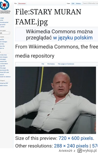 Arlekin29 - @Portes: STARY MURAN FAME JPG