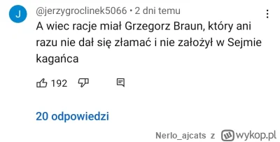 N.....s - 190 plusów 190 szumów ktorzy nie powinni miec praw wyborczych