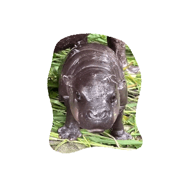 wfyokyga - EEEEEEEEEEEEEAAEEEEEEEE