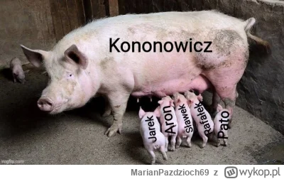 MarianPazdzioch69 - #kononowicz #patostreamy