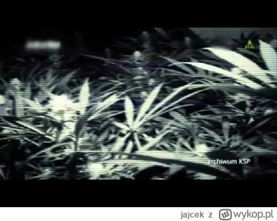 jajcek - @talmudyczny_triumfalizm