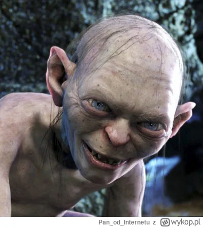 PanodInternetu - >Zychowicz, jak przystało na kumatego gościa

@czarny_matt94: Najbar...