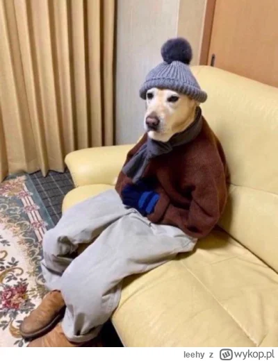 leehy - I tak się żyje powoli w tym mieście ( ͡° ͜ʖ ͡°) #heheszki #humorobrazkowy