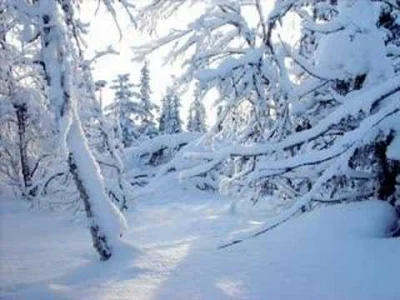 Quassar - https://www.youtube.com/watch?v=BghM1inEqvs
#muzyka #ost