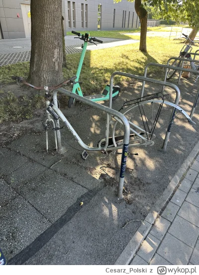 Cesarz_Polski - #100smutnychrowerkow