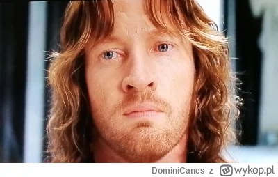 DominiCanes - Pszny ten pomidorek 
#wladcapierscieni