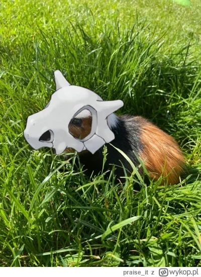praise_it - @siedzacyByk: czegoś mi tu brakowało w tym zdjęciu ( ͡° ͜ʖ ͡°)