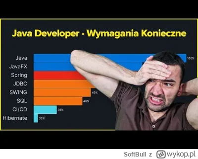 SoftBull - ???? Zanurzyłem się w świecie ofert dla Java Developerów na jednym z najwi...