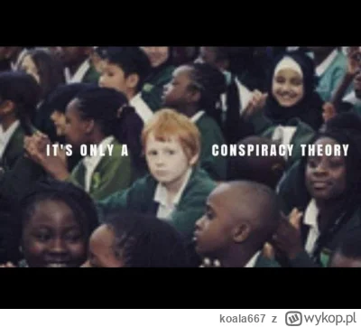 koala667 - #imigranci #bekazlewactwa #heheszki