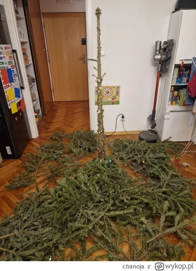 chanoja - #ikea #wpiszdupy #heheszki #swieta Ikea, choinka, model 2.1. Zgubiłem instr...
