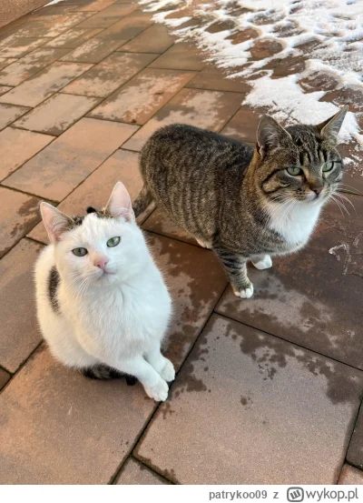 patrykoo09 - @patrykoo09:
