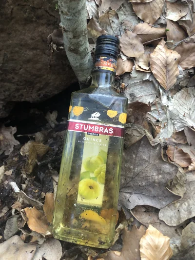 ChlopoRobotnik2137 - Byłem w #las i znalazłem jakaś skrytkę leśnika . Czy taka #wodka...