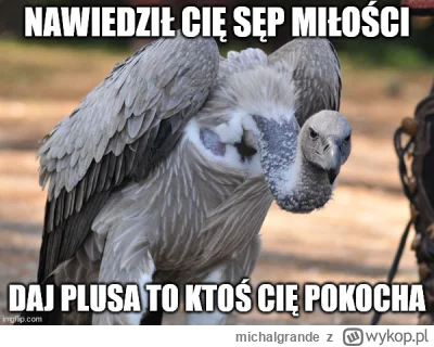 michalgrande - #muzyka #humorobrazkowy #milosc