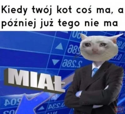 PorzeczkowySok