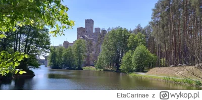 EtaCarinae - Na zdjęciach zamek się prezentuje dobrze, skutecznie udaje elementy obro...
