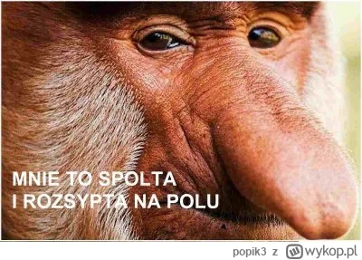 popik3 - #humorobrazkowy #heheszki #wszystkichswietych