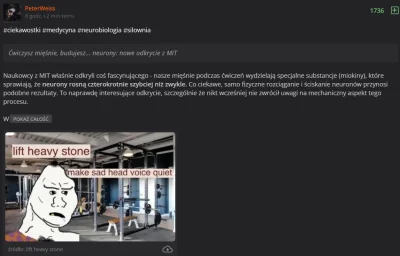 Ardeo - Przykład tego, jaki poziom reprezentuje #gruparatowaniapoziomu a może bardzie...