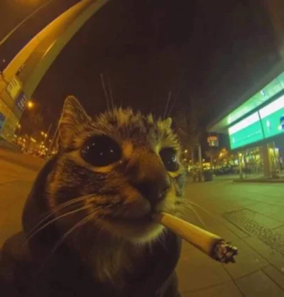 Jashon_Statham - Doszedłem do punktu zrozumienia, gdzie uczestnictwo czynne na tagu s...