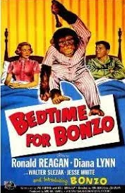 p.....u - Od dzisiaj tag #bonzo dotyczy tylko i wyłącznie szympansa Bonzo
nie mylić z...