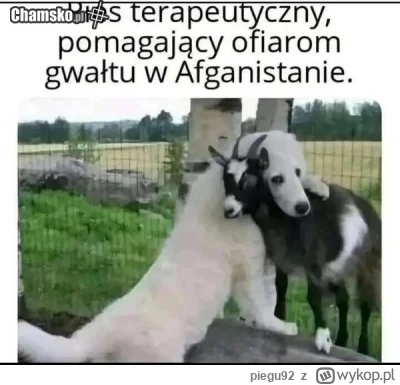 piegu92 - Siemanko, przychodze do was z zapytaniem o gierke.
Szukam czegos podobnego ...